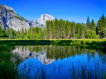 Get Up Close and Personal with Nature at Yosemite National Park